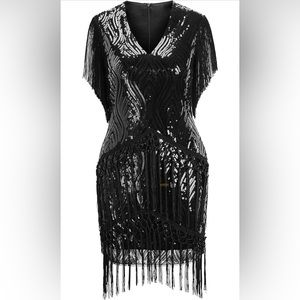 Fringe sequin dress